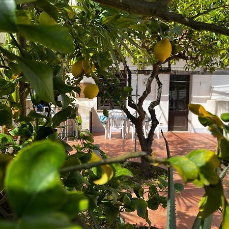 Apartament Casa Ciccio San Vito Lo Capo Zewnętrze zdjęcie