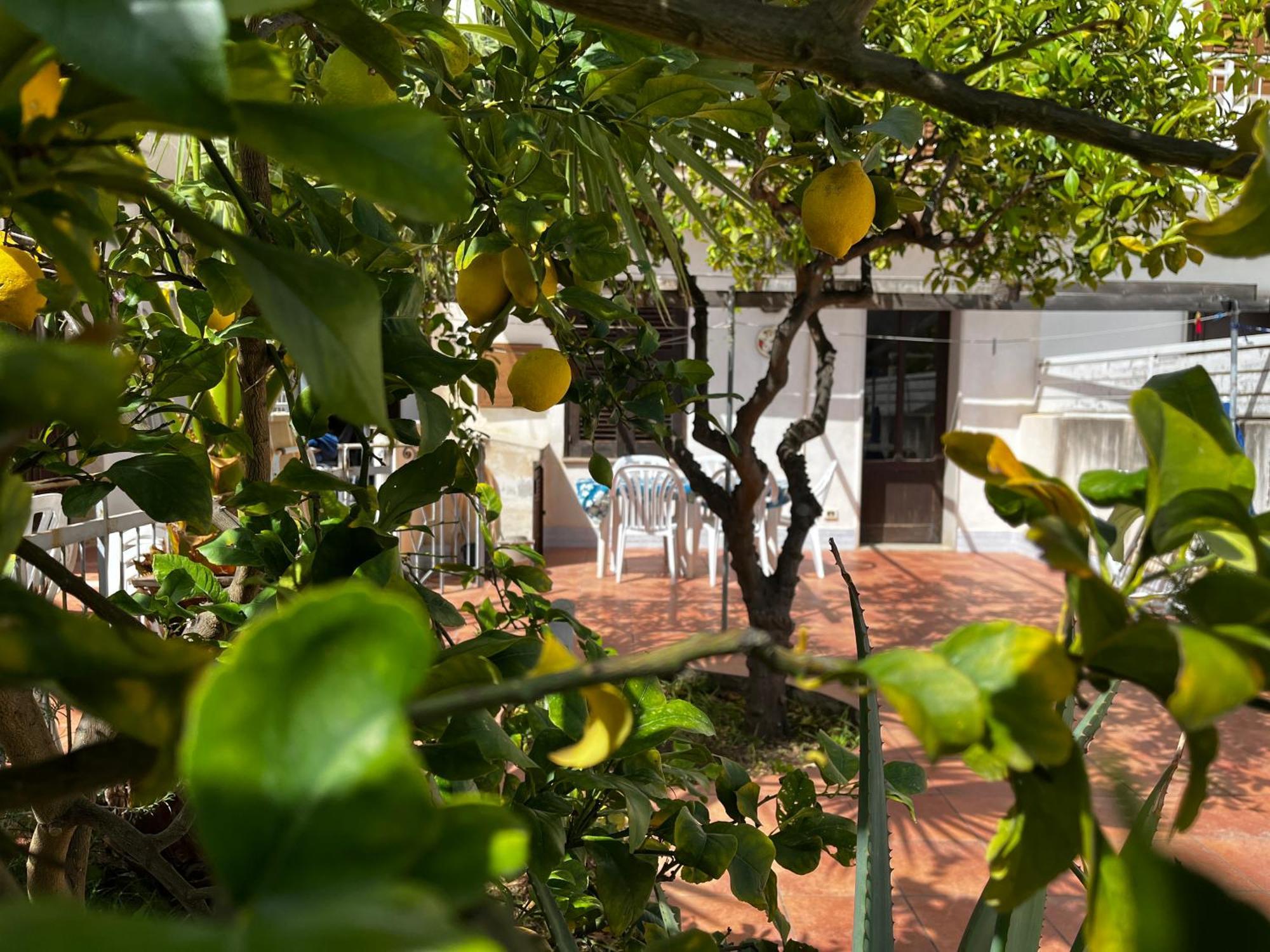 Apartament Casa Ciccio San Vito Lo Capo Zewnętrze zdjęcie